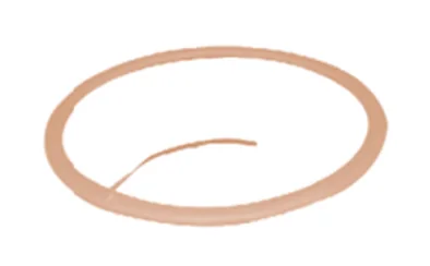 Electrostatic Shielding Rings